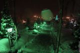 IMG_2303.jpg