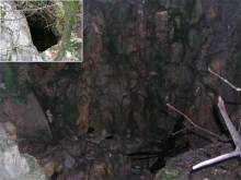 Карстовый колодец, Сочи (Хоста)