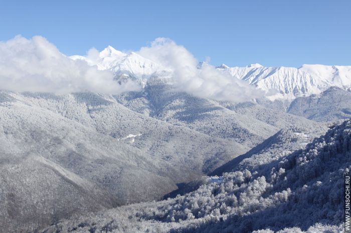 Красивый вид