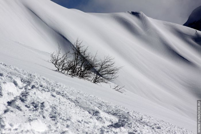 Обратная сторона хребта