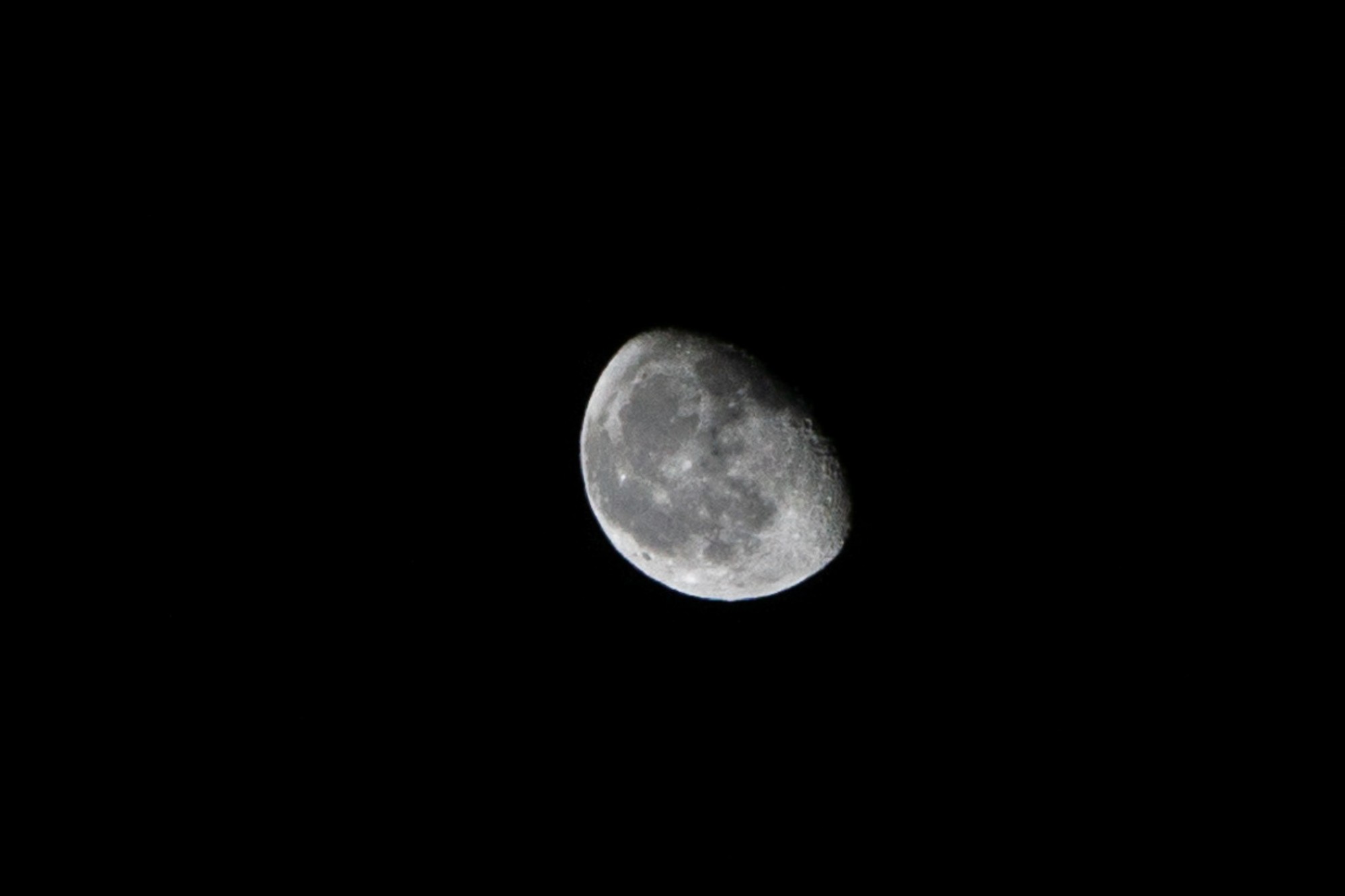 dsc07064.jpg