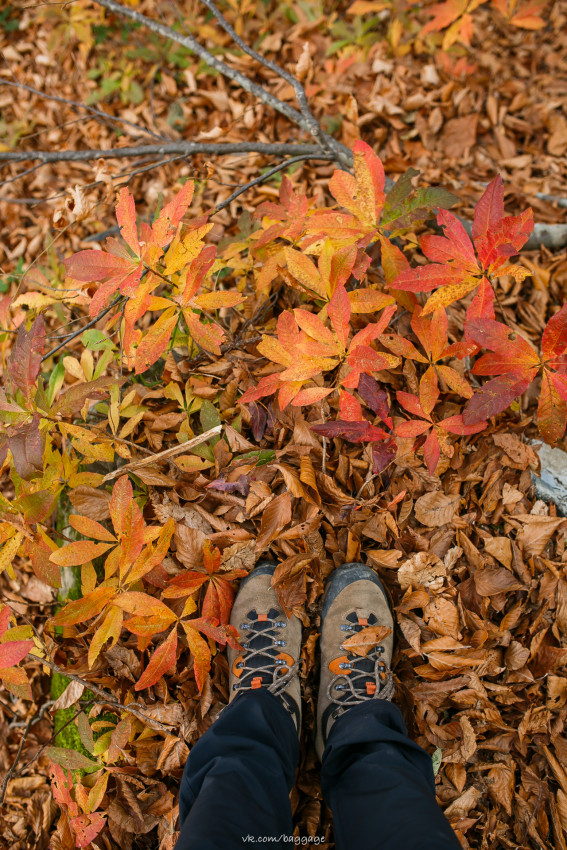 a01a7829.jpg