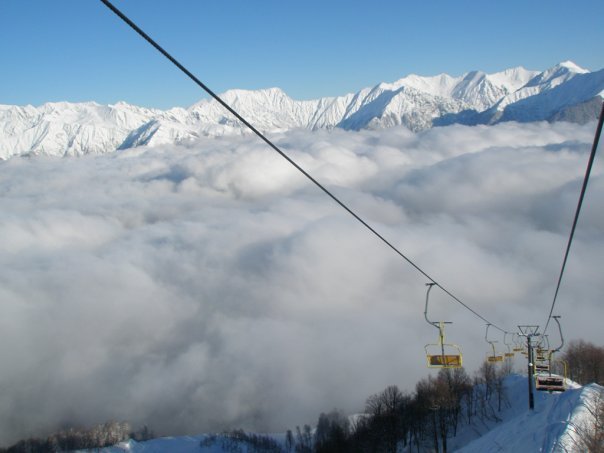 x_132cf1c7.jpg