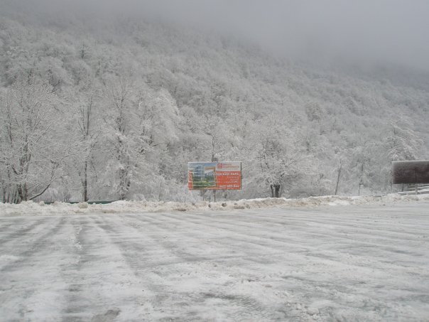x_81815d78.jpg